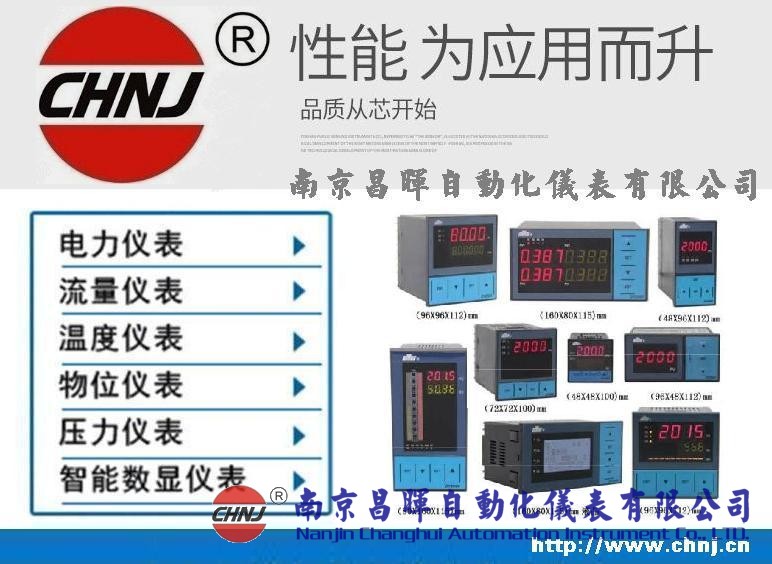 DY2000（ZP）智能脈沖輸入（轉(zhuǎn)速）顯示儀表DY21ZP0