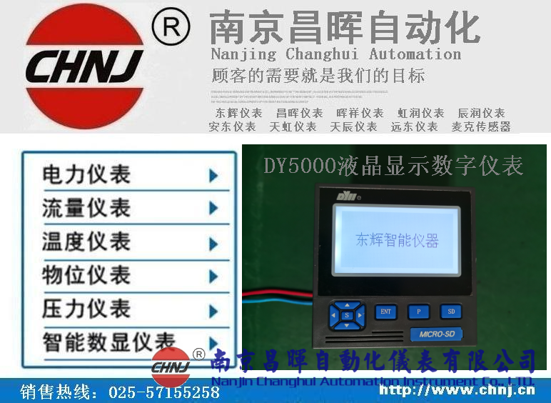 DY21ZL、DY22ZL00、DY59ZL60、DY5000（ZL）液晶顯示數字儀表